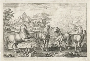 Horses (series title: Four-legged Animals, Animalivm Qvaddrvpedvm)