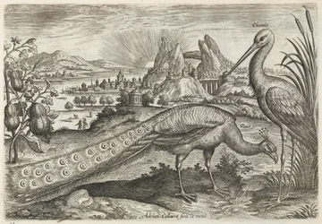 Peacock and Stork