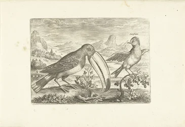 Two Exotic Birds in a Landscape (Birds)
