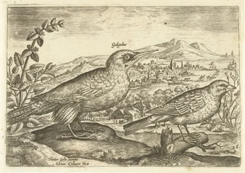 Two Birds in a Landscape