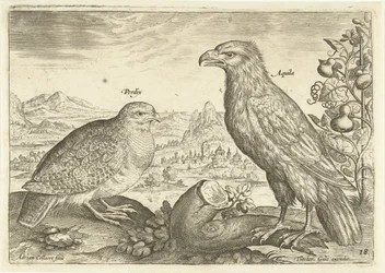 Two Birds in a Landscape (Avivm Vivae / Birds series)