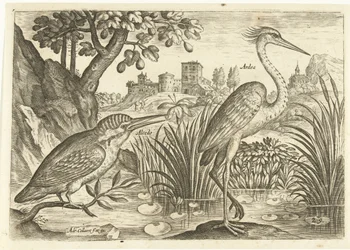 Two Birds in a Landscape (series title: Birds, Avivm Vivae)