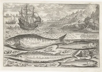 Four Fish on the Beach (Fish series)