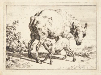 Sheep and Two Lambs