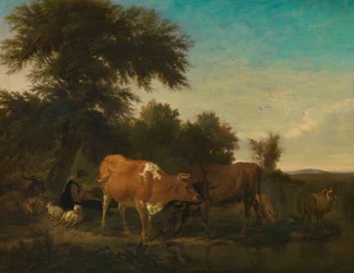 Landscape