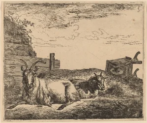 Recumbent Goats