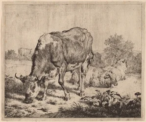 Spotted Bull and Three Sheep