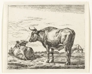 Standing Bull