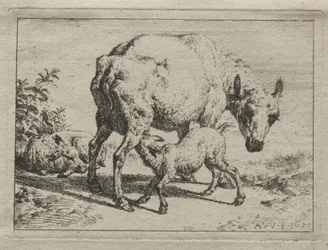 The Ewe and Two Lambs