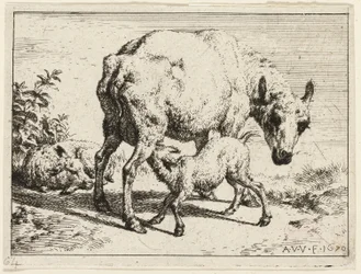 The Lamb