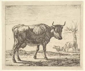 Three Cows, from Different Animals