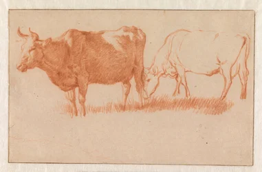 Two Cows