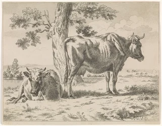 Two Cows by a Tree (series title)