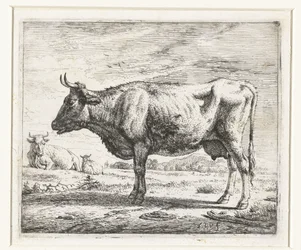 Two Cows and a Sheep (Various Animals)