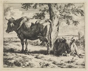 Two Cows under a Tree