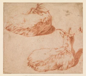 Two Studies of a Reclining Goat, Seen from the Back (Verso). Standing Goat (Counterproof)