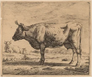 Two Cows and a Sheep