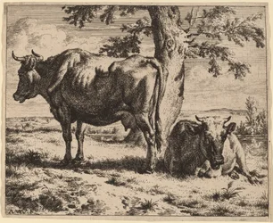 Two Cows under a Tree