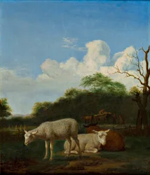 Unknown Picture