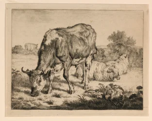 Ox and Three Sheep