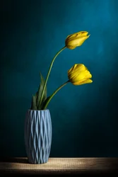 Elegant Yellow Tulips