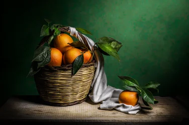 Fresh Oranges Still Life