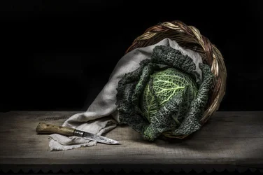 Rustic Cabbage Still Life
