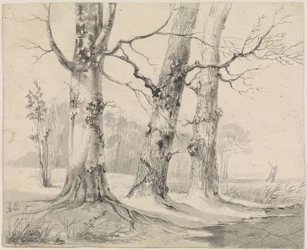 Winter Landscape