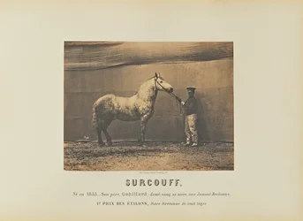 Surcouf