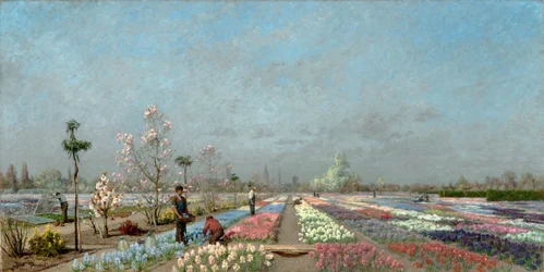 The Hyacinth Fields in Bloom at the Van Houtte Nursery, Ghent with a view of Saint Nicholas’ Church, the Belfry and Saint Bavo Cathedral Beyond
