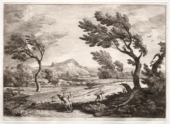 Landscape