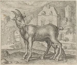 Fable of the Goat and the Young Wolf