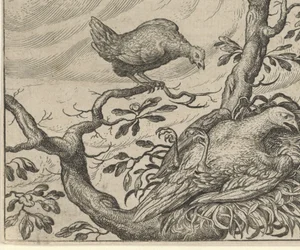Fable of the Sick Vulture