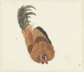 Study of a dead rooster