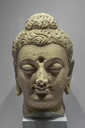 Unknown Image