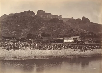 Duck Market