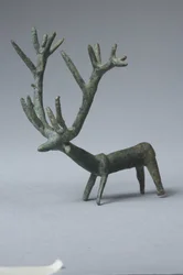 Anatolian stag