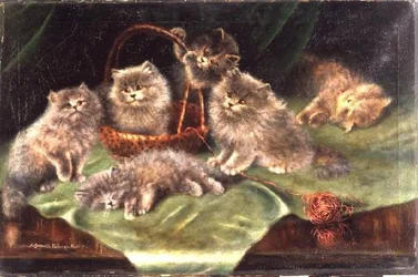 Six Kittens