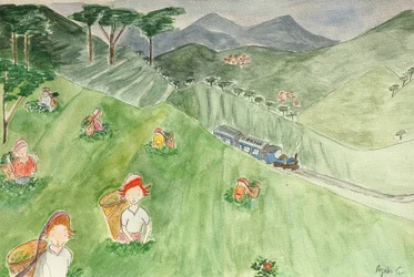 The Voyage, Darjeeling