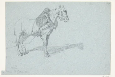 A Horse