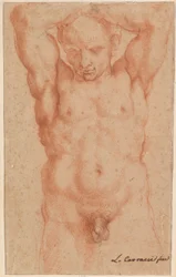 Male Nude