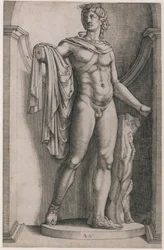 Speculum Romanae Magnificentiae: Apollo Belvedere, ca. 1514-36