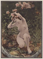 Dryad, tree nymph from Greek mythology
