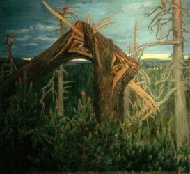 The Broken Pine