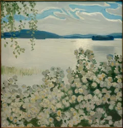 White Roses
