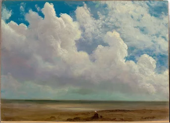Beach Scene