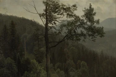 Tree Covered Mountains