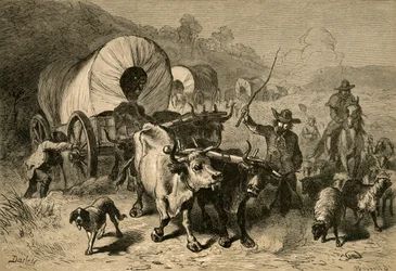 Emigration to the Western Country