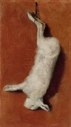 Dead Hare, Study
