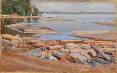 Log Raft